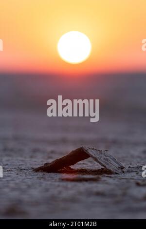 Ein Blick auf den Sonnenaufgang auf die Makgadikgadi-Pfanne von der Insel Kubu in Botswana Stockfoto