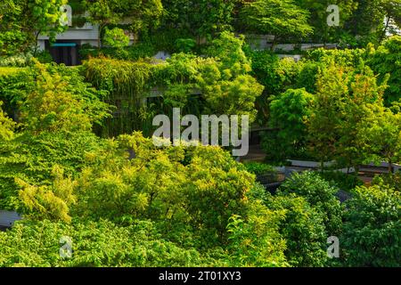 Kampung Admiralty ist ein 11-stöckiger öffentlicher Wohnkomplex in Singapur, der von Vegetation bedeckt ist. Die Landschaftsgestaltung umfasst Bodenbepflanzung, Gründach Stockfoto