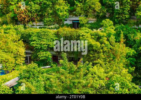 Kampung Admiralty ist ein 11-stöckiger öffentlicher Wohnkomplex in Singapur, der von Vegetation bedeckt ist. Die Landschaftsgestaltung umfasst Bodenbepflanzung, Gründach Stockfoto