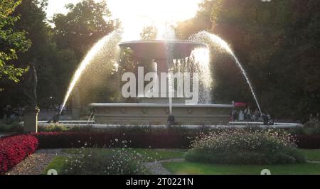 POLEN: Springbrunnen im Sächsischen Garten Stockfoto
