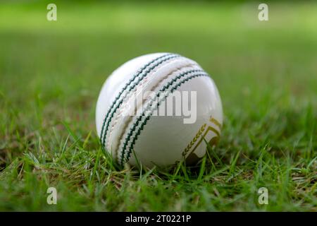 Cricketbälle auf dem Spielfeld Stockfoto