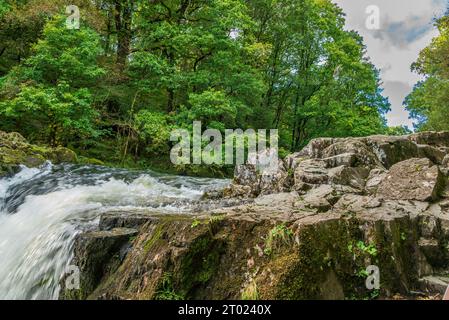 Die Skelwith Force auf dem Fluss Brathay auf dem Cumbrian Way bei Skelwith bei Ambleside im Lake District. Ein reißender Bach nach kurzem Regen. Stockfoto