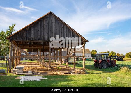 Das Skelett einer alten, zerstörten Scheune, die an einem sonnigen Tag abgerissen wird. Gras Stockfoto