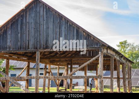 Das Skelett einer alten, zerstörten Scheune, die an einem sonnigen Tag abgerissen wird. Gras Stockfoto