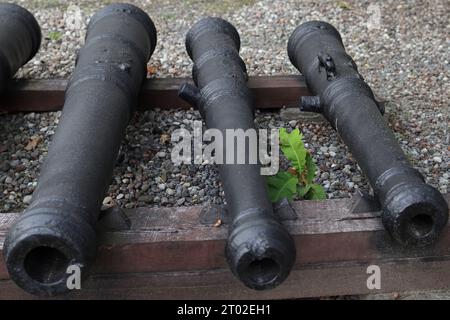 Drei alte gusseiserne Kanonenfässer Stockfoto