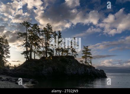 Sonnenaufgang über Bäumen und Felsen in der Iron Mine Bay im East Sooke Regional Park, British Columbia, Kanada. Stockfoto