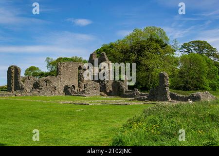 Downpatrick County Down Nordirland, 1. Januar 2010 - Landschaftsansicht der alten Ruinen von Inch Abbey in County Down Stockfoto