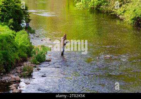 Antrim County Antrim Northern Ireland, 11. Mai 2021 - Ein Mann Fliegenfischen in Sixmile Water in Antrim Stockfoto