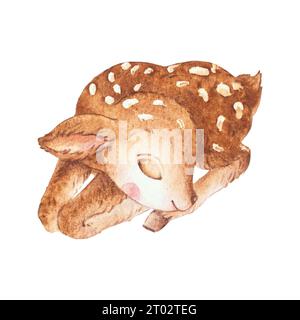 Little Deer Sleeping Watercolor, Niedliche Hirsch Illustrationen, Fawn Aquarell Illustration, Waldtiere Illustration Stockfoto