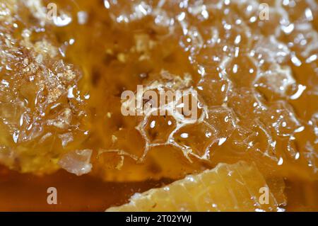 Sechseckige Wabenzellen mit Honig, die die Eier der Bienenkönigin halten und den Pollen und Honig speichern, den die Arbeiterbienen in den Bienenstock bringen, Masse von prismati Stockfoto