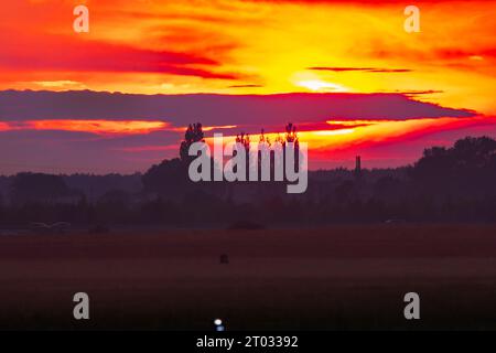 Wunderschöner wolkig-roter Sonnenuntergang mit gigantischer Sonne über großen Feldern und Bäumen, gesehen von einem 600-mm-Kameraobjektiv Stockfoto