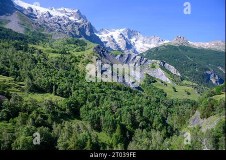 La Grave La Meije Ski-Resort abseits der Pisten, einzigartig in den Alpen mit einzeln gepflegtem Abhang auf dem Gletscher, Freeride, Blick auf den Gipfel La Meije, Massif des Ecrins, H Stockfoto