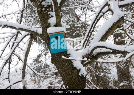 Blaues, leeres Vogelhaus im Baum an einem kalten Wintertag Stockfoto