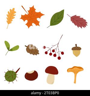 Satz von Herbstelementen, Blättern, Beere, Pilze, Kritzelstil Vektor Illustration Stock Vektor