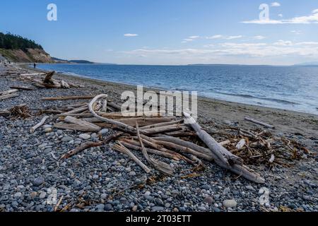 Coupeville, OR, USA. September 2023. Große Treibholzstücke sitzen an einem schönen Sommertag an einem Strand an der Küste Oregons (Foto: © Walter G Arce SR Grindstone Medi/ASP) NUR ZUR REDAKTIONELLEN VERWENDUNG! Nicht für kommerzielle ZWECKE! Stockfoto