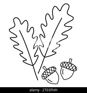 Eichenblätter und Eicheln, Herbst-Design-Elemente, Doodle-Stil flache Vektor-Umrissillustration für Kinder Malbuch Stock Vektor