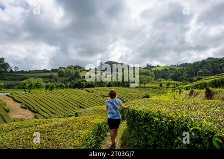 Frau, die zwischen der Teeplantage Gorreana auf der Insel Sao Miguel auf den Azoren, Portugal, spaziert Stockfoto