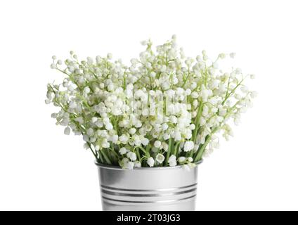 Eimer mit wunderschönen Lilien aus dem Tal auf weißem Hintergrund Stockfoto