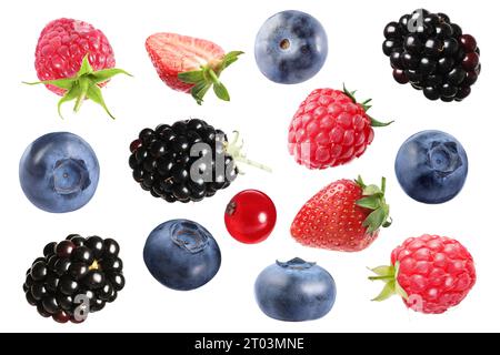 Frische Heidelbeeren und andere Beeren isoliert auf weiß, Set Stockfoto