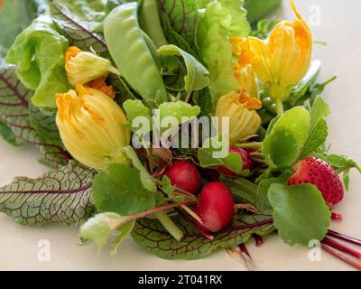 Frische Speisen aus dem Gemüsegarten der Küche, hübsche bunte Salatprodukte, dekorativ und essbar, Australien Stockfoto