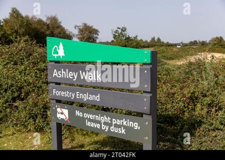 Ashley Walk New Forest Hampshire in der Nähe von Godshill ist ein beliebter Spaziergang durch offene Heidelandschaften in Hampshire, England, Großbritannien Stockfoto