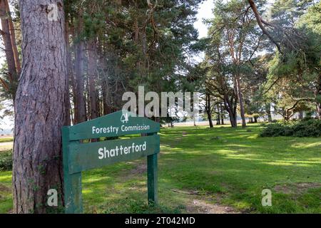 Shatterford, Forstry Commission Sign, New Forest National Park in Hampshire, England, UK, 2023 Stockfoto