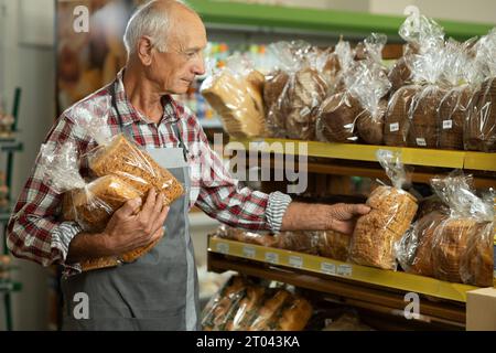Ein alter Bäcker mit grauer Schürze, der in seiner Bäckerei arbeitet. Brot in ein Regal in einer Supermarktabteilung stellen Stockfoto
