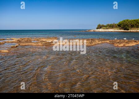 Strand an der Steinküste von Zambratija, Istrien, Kroatien Stockfoto