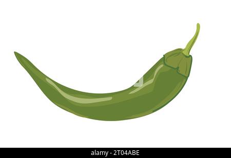 Grüner, heißer Chili-Pfeffer. Vektor, flach. Eine Zutat mexikanischer und asiatischer Küche. Würze im Stil von Pappe auf weißem Hintergrund. Stock Vektor