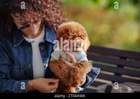 Porträt der schönen Frau mit lockigem Haar hält kleinen Zwergpudel in den Armen, während sie im Herbstpark sitzt. Hündchen in Kleidung. Haustier im Freien. Stockfoto