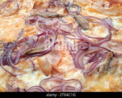 Italienische Pizza mit Zwiebeln, Gorgonzola und Sardellen Stockfoto
