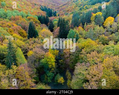 Wunderschöne Berglandschaft im Herbst Stockfoto