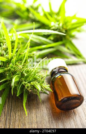 Marihuana-Knospen. Cannabispflanze und Öl in der Glasflasche. Stockfoto