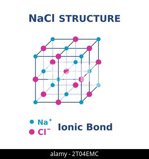 NaCl-Struktur. Natriumchloridmolekül. Salzkristalle. Ionenbindung in 3D-Form. Chemieausbildung. Gitter und Einheitszellen von Salz. Vektor Stock Vektor