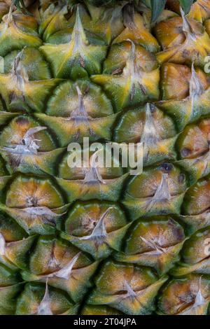 Nahaufnahme der Struktur der äußeren Schale einer Ananas Stockfoto