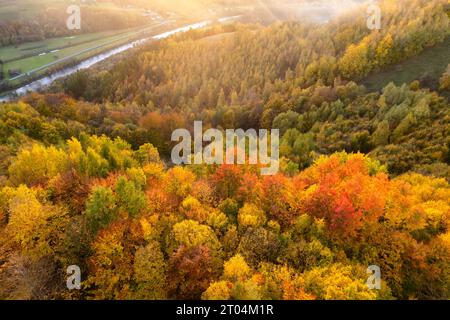 Herbstwald in den Bergen während Sonnenuntergang, Herbstsaison. Stockfoto