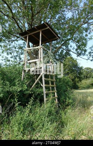 Hoher Sitz an der Feldgrenze Stockfoto