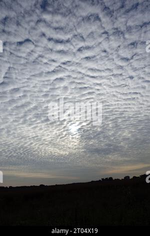 Altocumulus stratiformis am Morgen, Deutschland, Nordrhein-Westfalen Stockfoto