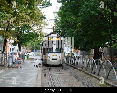 Die Straßenbahn kommt zum Bahnhof, die Leute auf der Bank warten und Tauben auf dem Gehweg in Bukarest, Rumänien, am 26. Juli 2023 Stockfoto