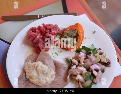 Eine köstliche Vorspeise aus Piedmont. Steak Tartare, Carpaccio, gefüllte Paprika und Salat Stockfoto
