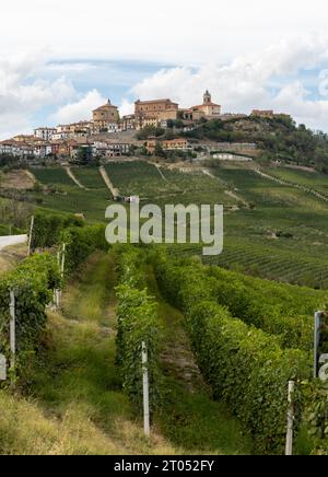 Langhe Weinberge in der Nähe von La Morra, UNESCO-Weltkulturerbe, Piemont, Italien Stockfoto