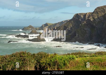 Die Küste am Hartland Quay, Devon, England Stockfoto