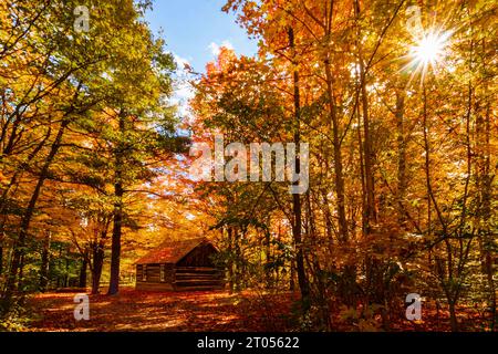 Alte Pionier-Blockhütte im Herbstwald im Westfield Heritage Village, Hamilton Ontario Kanada Stockfoto
