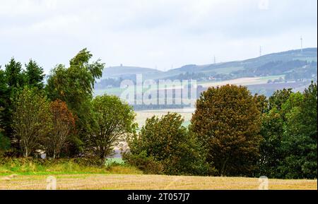 Dundee, Tayside, Schottland, Großbritannien. Oktober 2023. Wetter in Großbritannien: Das Herbstwetter in Schottland bringt starke Winde und vereinzelte Schauern über Dundees Landschaft, die sich mit gelegentlichen Schauern später am Tag in sonnige Intervalle abkühlen. Die Blätter im Clatto Park Woodland werden durch die Oktoberbrise abgeworfen. Quelle: Dundee Photographics/Alamy Live News Stockfoto