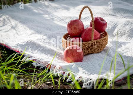 Rote Äpfel in einem Korb auf einem matten Picknick im Freien an einem sonnigen Tag. Stockfoto