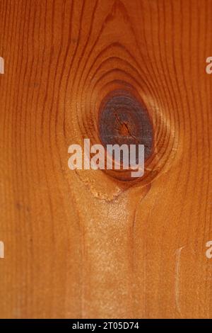 Woods Sehen Augen Makro Schließen abstrakte Textur Platte aus Kiefernholz mit einem Ast Auge Knoten Loch Hintergrund braun gelb Holz Stock Fotografie große Größe Stockfoto