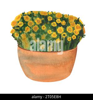 Herbstblumen in Töpfen, Herbstdekoration in Keramiktöpfen, Hauptdekoration Illustration für halloween und Erntefest Hand gezeichnet Aquarell Stockfoto