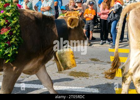 Kühe, die für diesen Anlass gekleidet sind, steigen von den Almen in das Dorf Kerns ab, wo die jährliche Alpenkuhparade stattfindet. Kerns ist ein Dorfbewohner Stockfoto