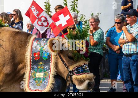 Kühe, die für diesen Anlass gekleidet sind, steigen von den Almen in das Dorf Kerns ab, wo die jährliche Alpenkuhparade stattfindet. Kerns ist ein Dorfbewohner Stockfoto