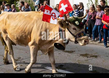 Kühe, die für diesen Anlass gekleidet sind, steigen von den Almen in das Dorf Kerns ab, wo die jährliche Alpenkuhparade stattfindet. Kerns ist ein Dorfbewohner Stockfoto